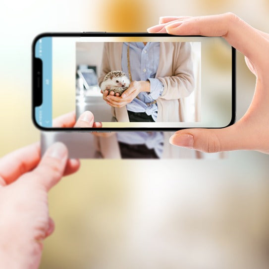 The HPRT CP2100: Pro-Grade 2x3" Color Photo Printing in Your Pocket.