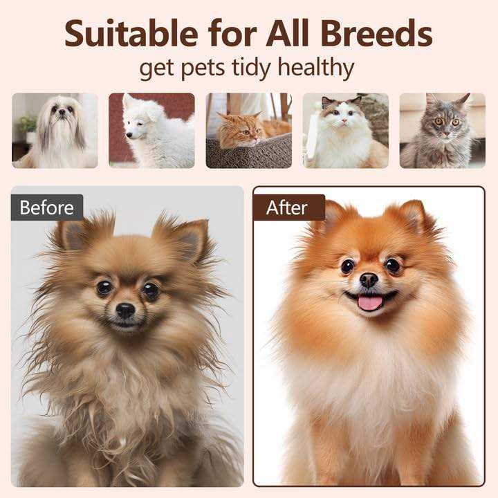 3-in-1 Multipurpose Steamy Pet Brush for Cats & Dogs | Electric Spray Grooming Brush with Self-Cleaning Function | Gentle Silicone Hair Remover & Massager