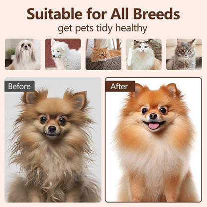 3-in-1 Multipurpose Steamy Pet Brush for Cats & Dogs | Electric Spray Grooming Brush with Self-Cleaning Function | Gentle Silicone Hair Remover & Massager